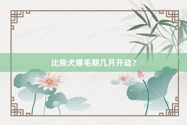 比熊犬爆毛期几月开动？