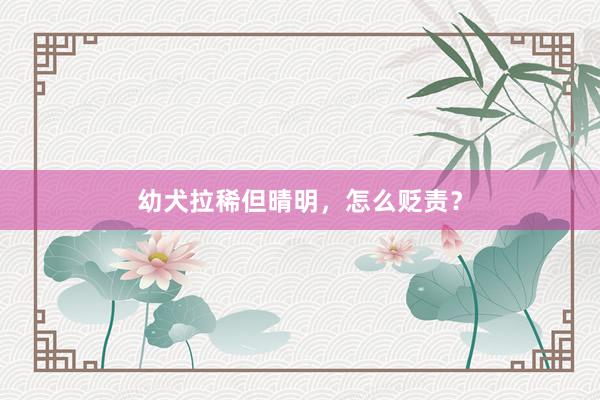 幼犬拉稀但晴明，怎么贬责？