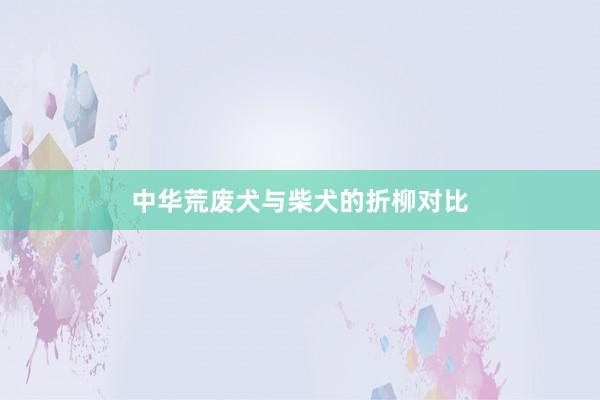 中华荒废犬与柴犬的折柳对比